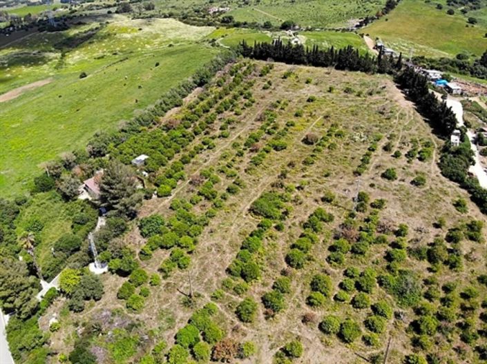 Image No.25-3 Bed Country House for sale