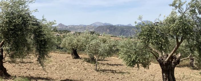Image No.29-Maison de campagne de 5 chambres à vendre à Ronda