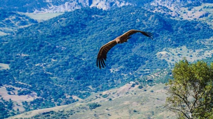 Image No.15-Propriété de 18 chambres à vendre à El Gastor