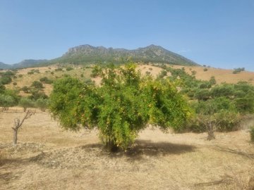 txlj7vw3rclht6qf4xi0mayl8dwdpw05