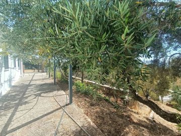 tswsixb1jxtvudqxfep4vva8k9kfgqeu