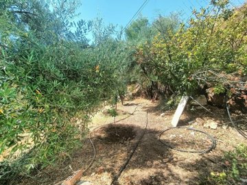 xnl3c4v4d3edqb4jdxzlufo7e5damxj1