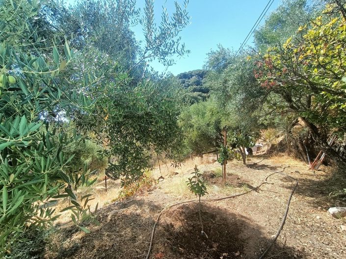 Image No.12-Maison de campagne de 2 chambres à vendre à Malaga