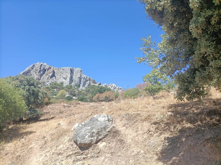 Image No.19-Maison de campagne de 2 chambres à vendre à Malaga