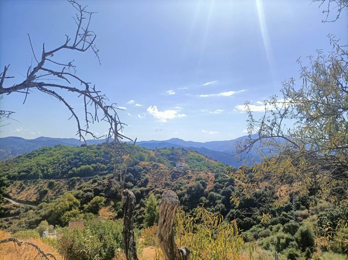 Image No.20-Maison de campagne de 2 chambres à vendre à Malaga