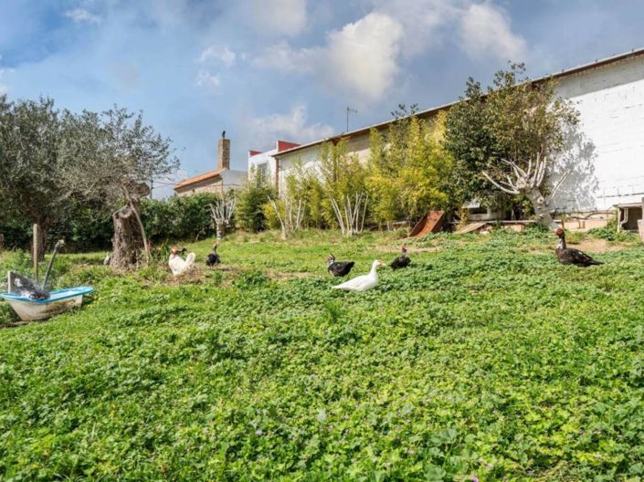 Image No.5-Propriété de 4 chambres à vendre à Chiclana de la Frontera