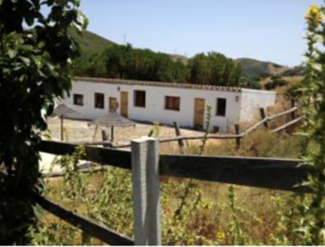 xun4cojbzg0clq26dc7v4wsl3lsnejra