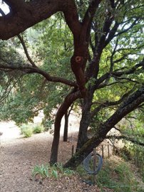 xwasgctb2ctie9coyolklocl1wdcff6x