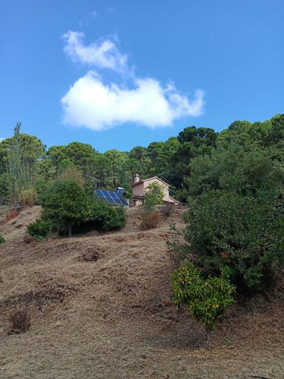 Image No.12-Finca de 2 chambres à vendre à Jubrique