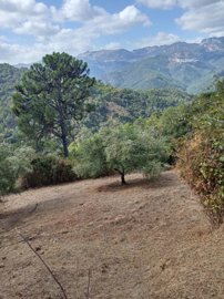 tmuec1beh2sci5cb2bm7rthhuud2g8pm