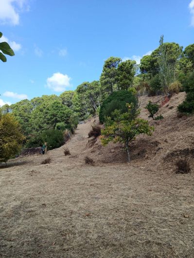 Image No.14-Finca de 2 chambres à vendre à Jubrique
