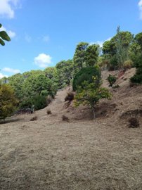 ztt0a4iwrvvhtolap5fhwcecdzj1qxd2