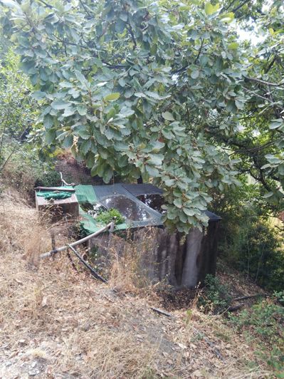 Image No.16-Finca de 2 chambres à vendre à Jubrique