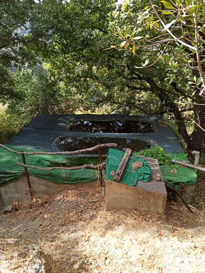 Image No.17-Finca de 2 chambres à vendre à Jubrique