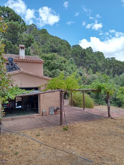 Image No.23-Finca de 2 chambres à vendre à Jubrique