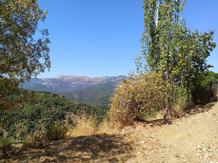 Image No.3-Finca de 2 chambres à vendre à Jubrique