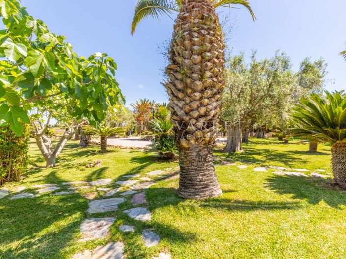 Image No.83-5 Bed Villa for sale