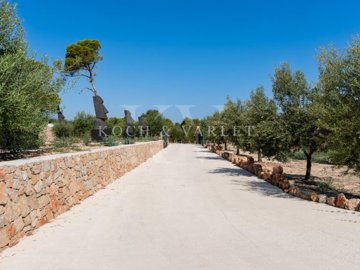 id08657001-0000-0500-0000-000011d031a2