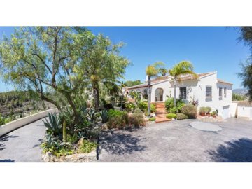 id91099a01-0000-0500-0000-00001570deb1