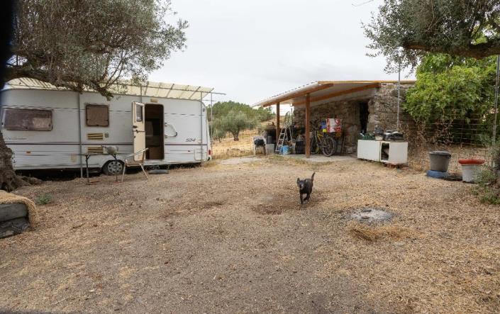 Image No.8-Finca for sale