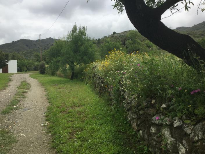 Image No.16-Propriété de pays de 3 chambres à vendre à Lubrín