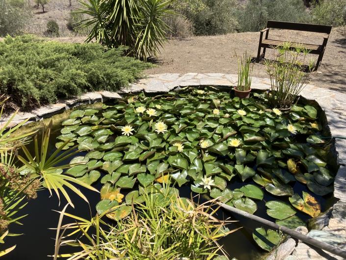 Image No.41-Propriété de pays de 3 chambres à vendre à Lubrín