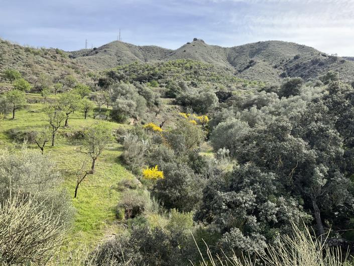 Image No.36-Propriété de pays de 3 chambres à vendre à Lubrín