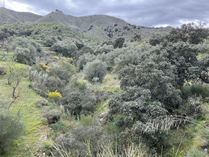 Image No.38-Propriété de pays de 3 chambres à vendre à Lubrín