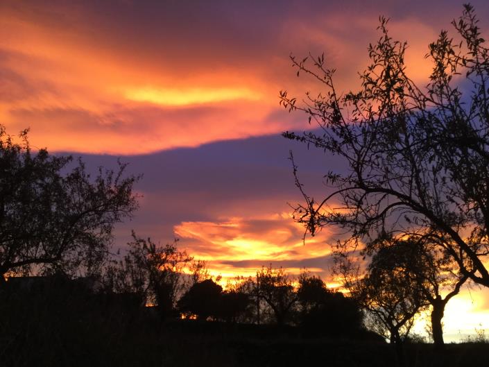 Image No.40-Propriété de pays de 3 chambres à vendre à Lubrín