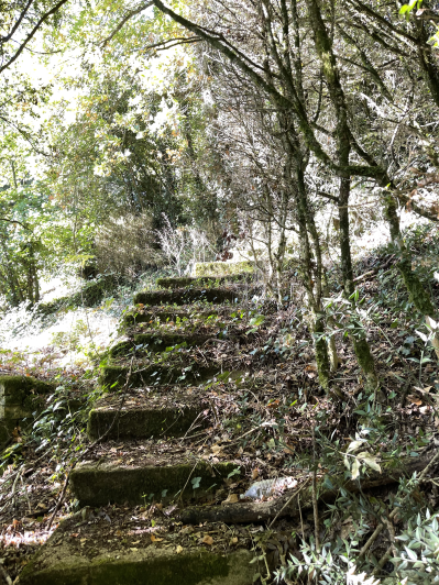 Image No.22-Maison de 3 chambres à vendre à Civray