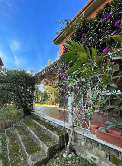 Image No.34-Villa de 9 chambres à vendre à Velletri