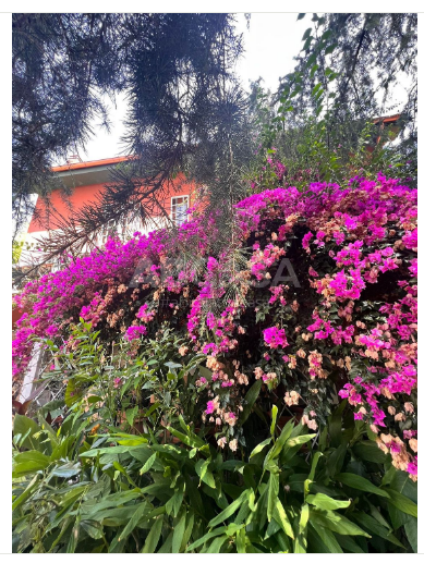 Image No.44-Villa de 9 chambres à vendre à Velletri